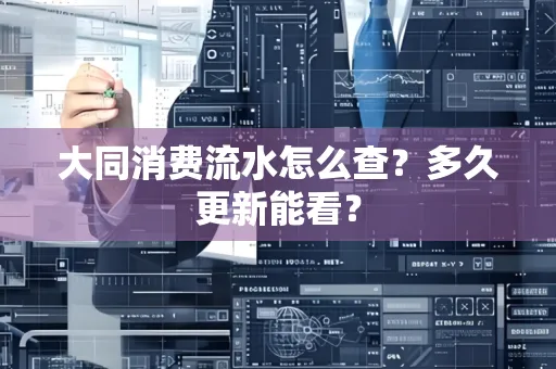 大同消费流水怎么查？多久更新能看？