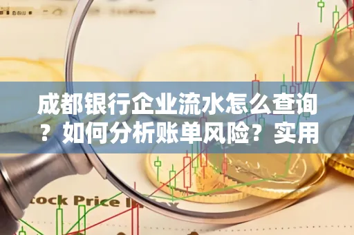 成都银行企业流水怎么查询？如何分析账单风险？实用指南